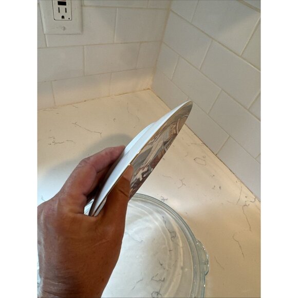 Country Kitties By Gre Gerardi “All Washed Up” Collectors Plate - Picture 10 of 15